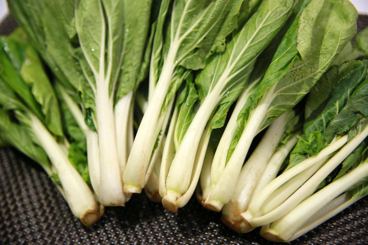 Bok Choy